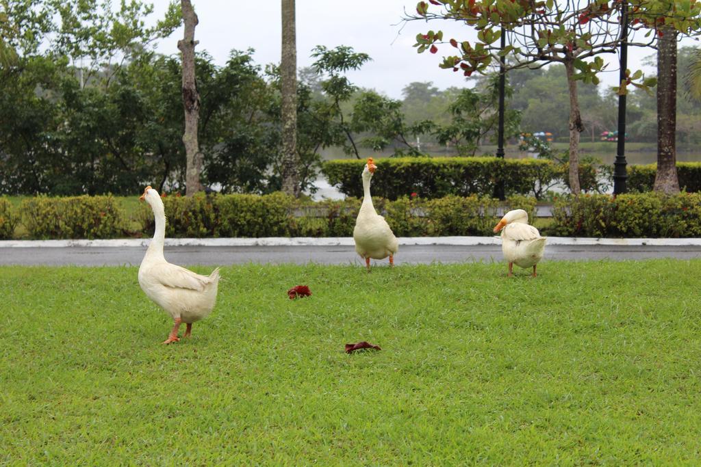 Amatique Bay Hotel 푸에르토 바리오스 외부 사진
